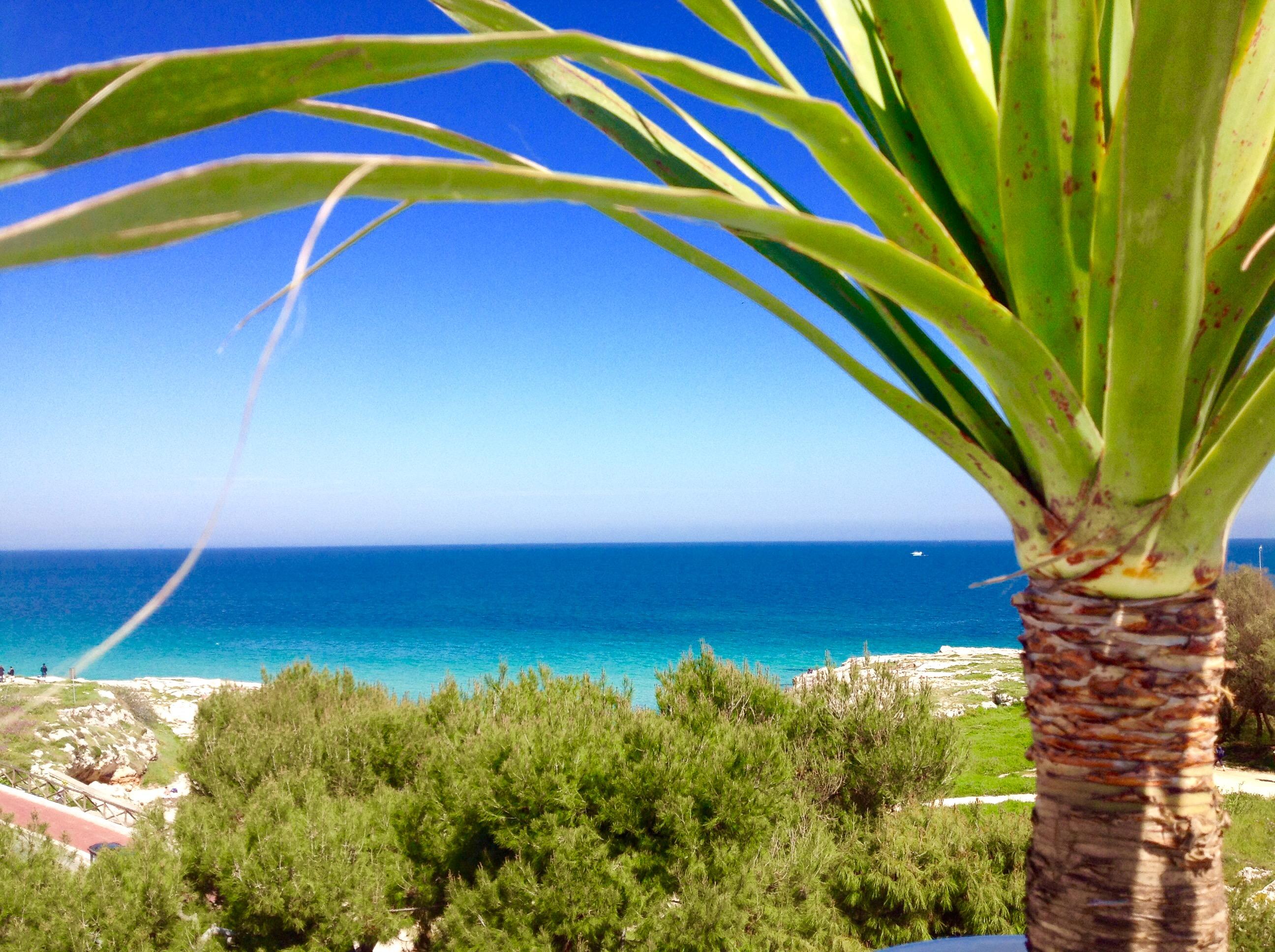 Playa Del Mar - Adults Only Bed & Breakfast Монополи Екстериор снимка